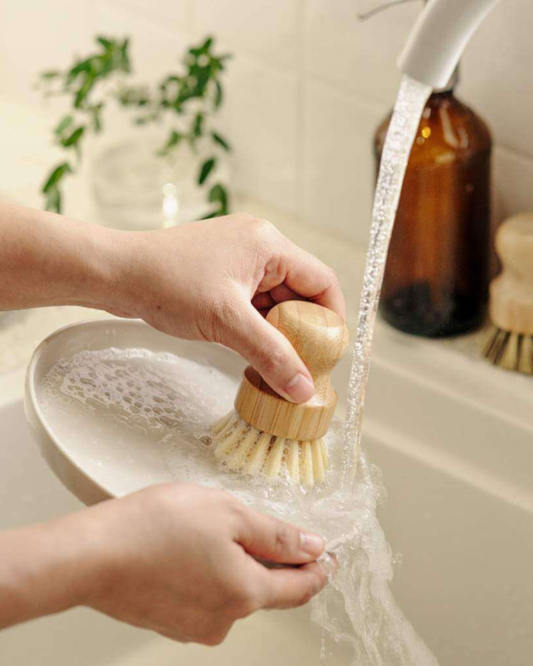 Dishes Scrubbing Brush