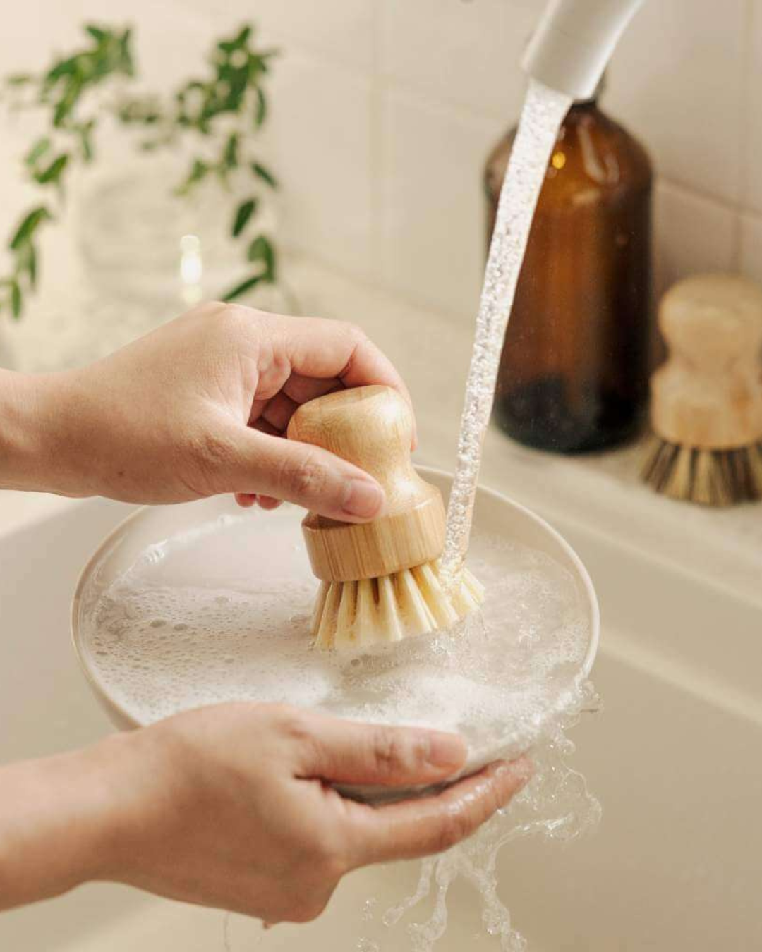 Dishes Scrubbing Brush