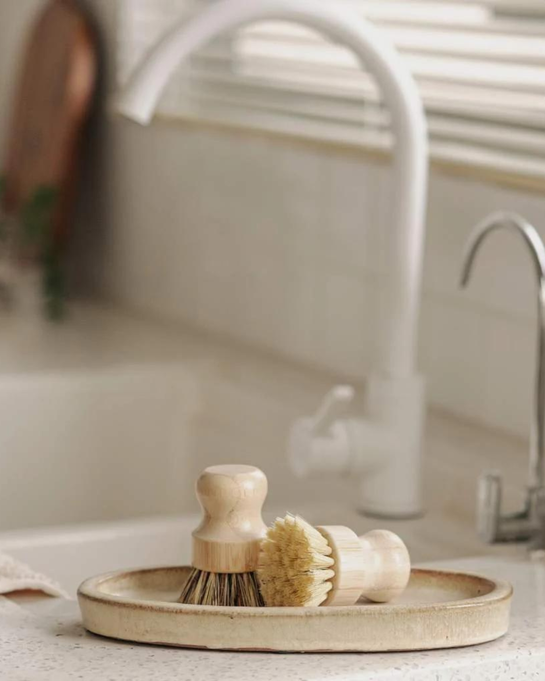 Dishes Scrubbing Brush