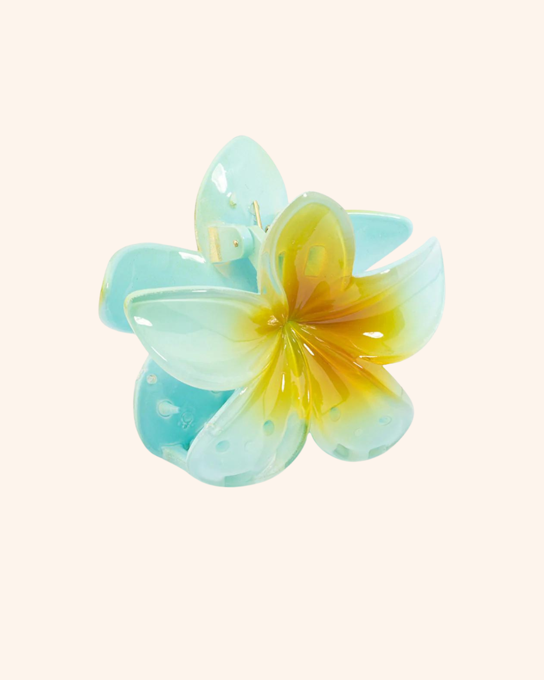 Tropical Flower Claw Clip - Set of 4